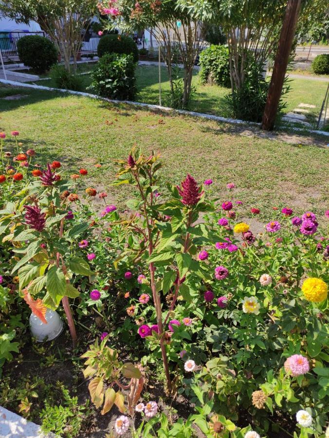 Nea Zoi Villa Moraḯtika Luaran gambar
